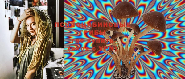дурь Осинники
