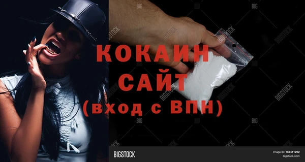 стаф Осташков