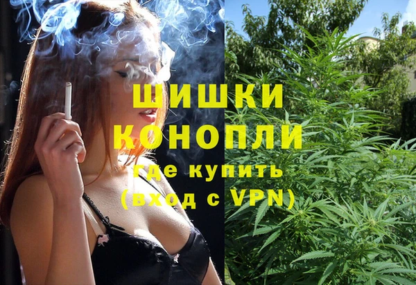 дурь Осинники