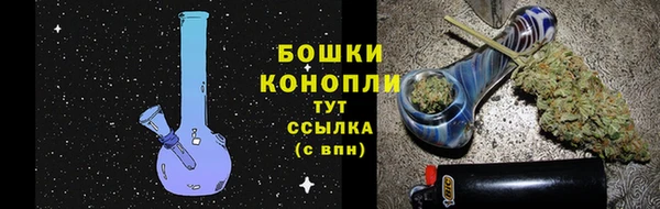 дурь Осинники