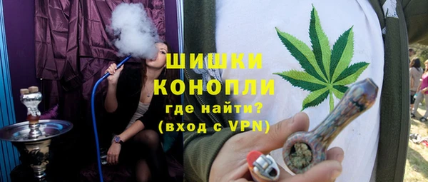 стаф Осташков