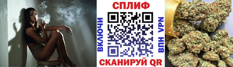 Канабис планчик  наркошоп  Чадан 